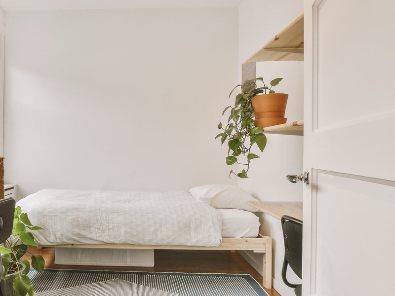 Habitación de estudiante con cama individual, escritorio y estantería con planta, en un piso para alquilar a estudiantes en Zaragoza